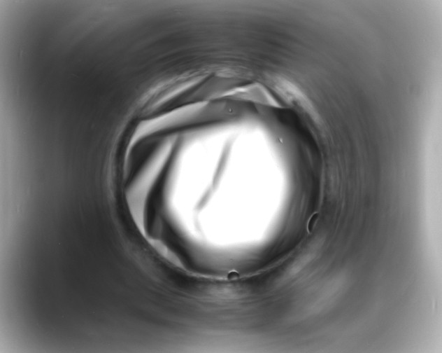 X0000088130439200706041952