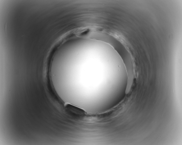 X0000088130440200706041952