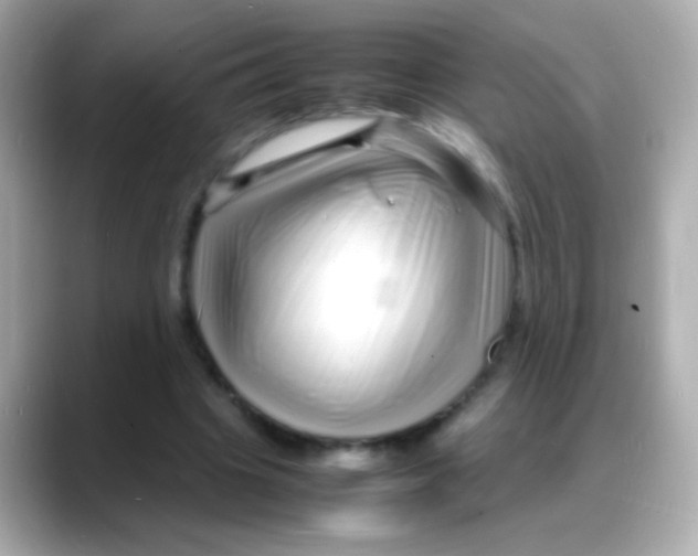 X0000088130441200706041952