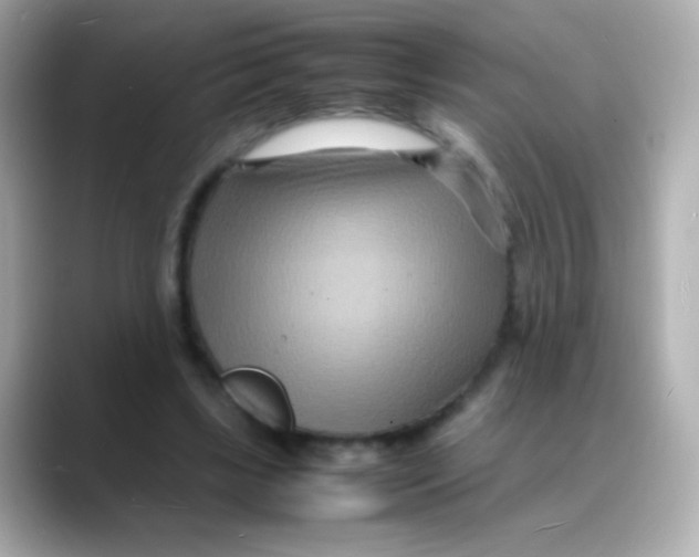 X0000088130443200706041952