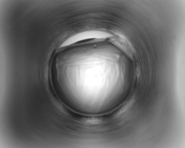 X0000088130445200706041952