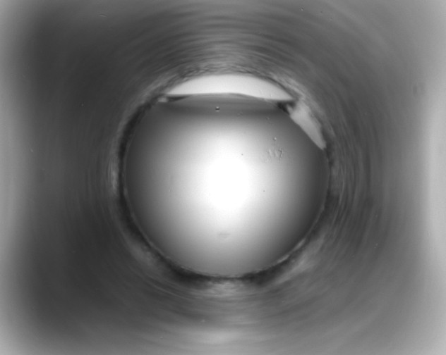 X0000088130446200706041952