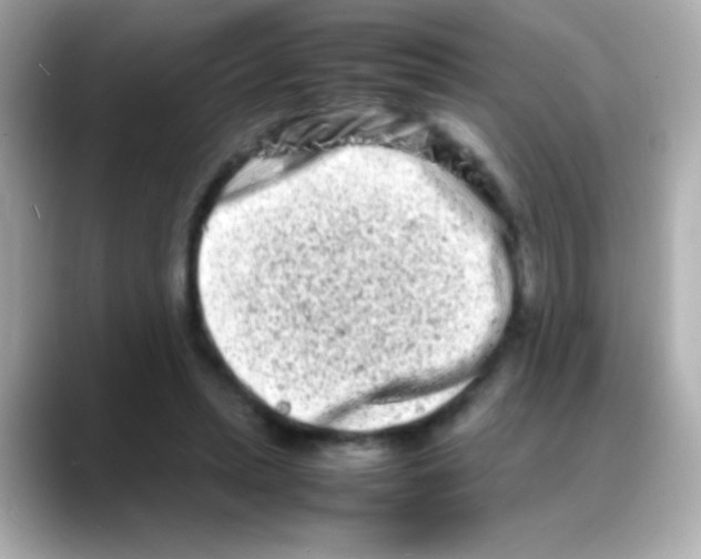 X0000088130447200706041952