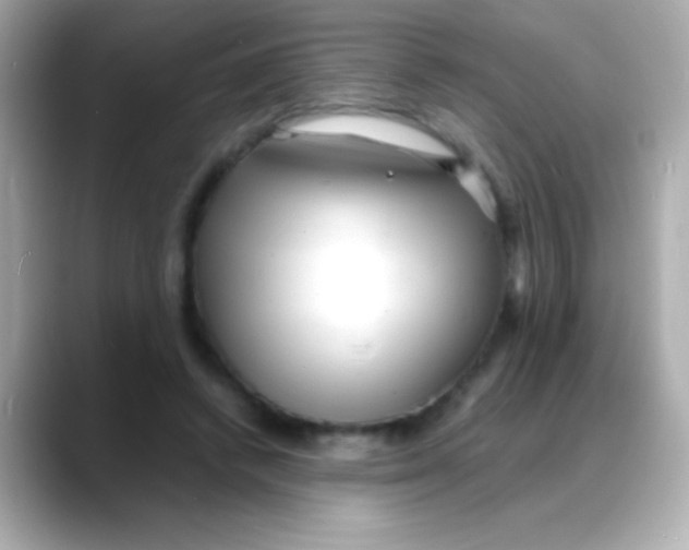 X0000088130448200706041952