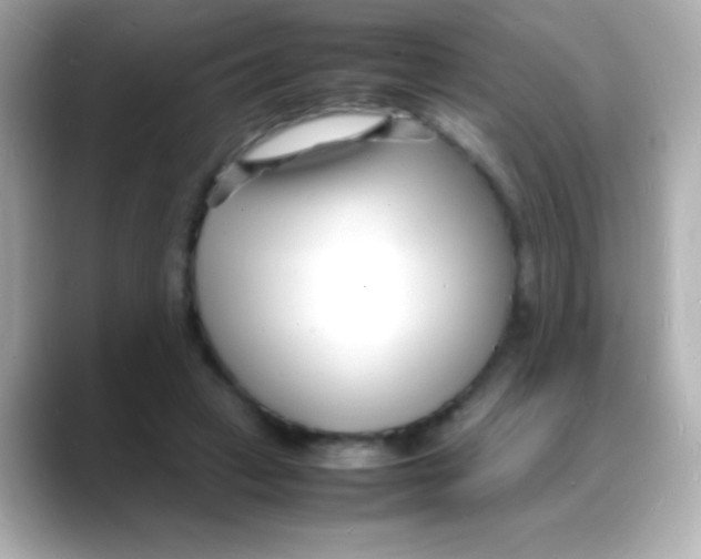 X0000088130449200706041952