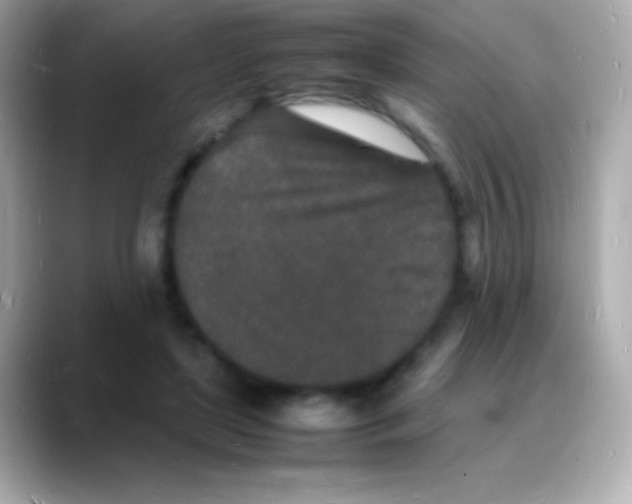 X0000088130451200706041952