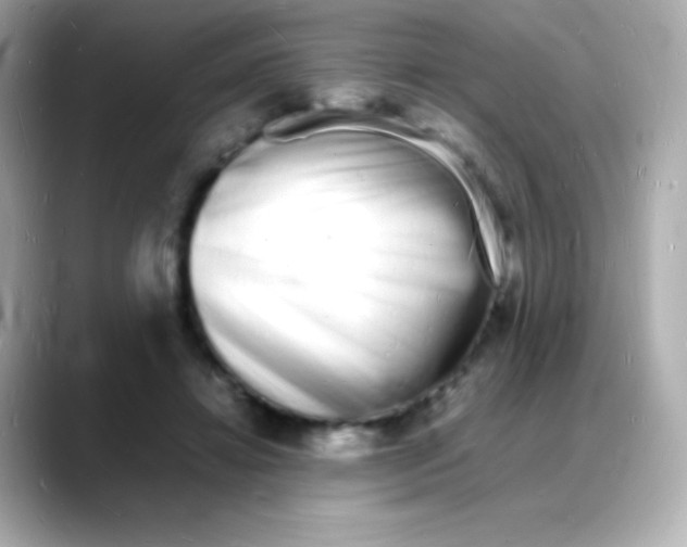 X0000088130452200706041952