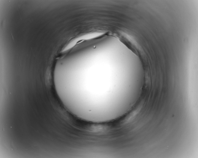 X0000088130453200706041952