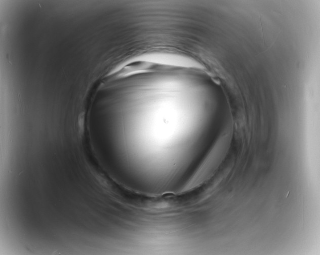 X0000088130454200706041952