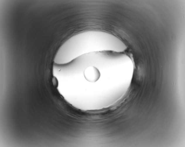 X0000088130456200706041952