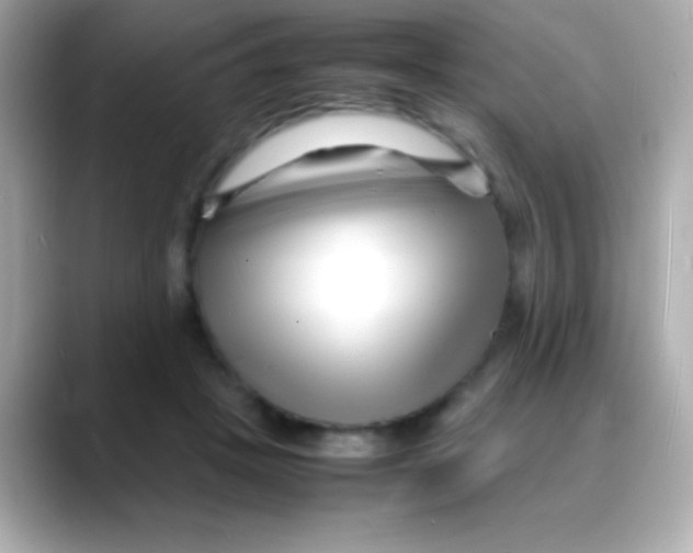 X0000088130457200706041952