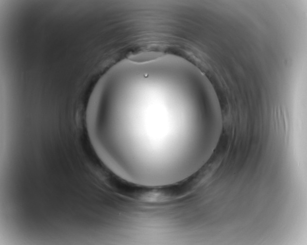 X0000088130460200706041952