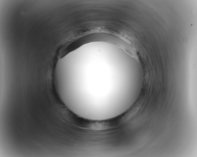 X0000088130461200706041952