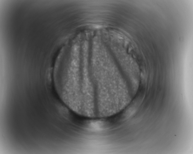 X0000088130462200706041952