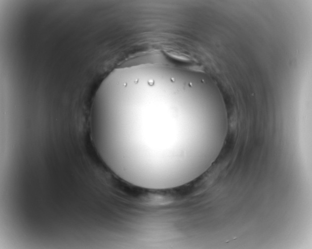 X0000088130464200706041952