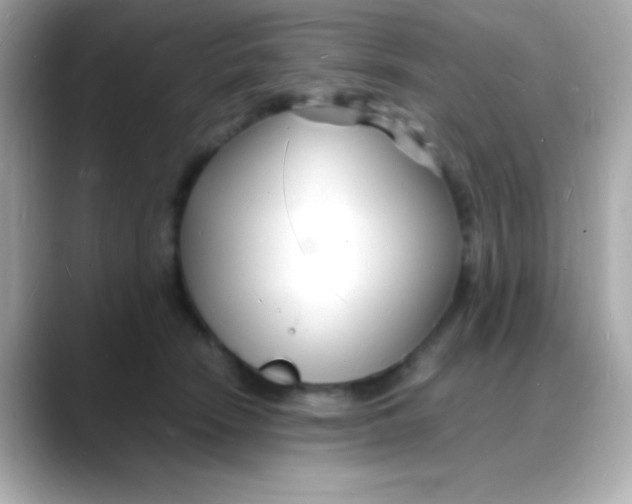 X0000088130466200706041952