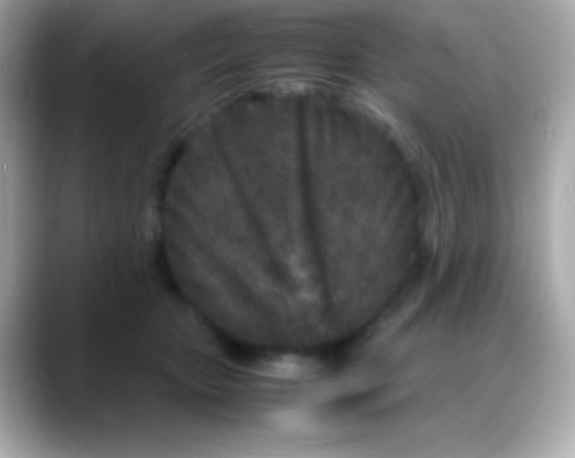 X0000088130467200706041952