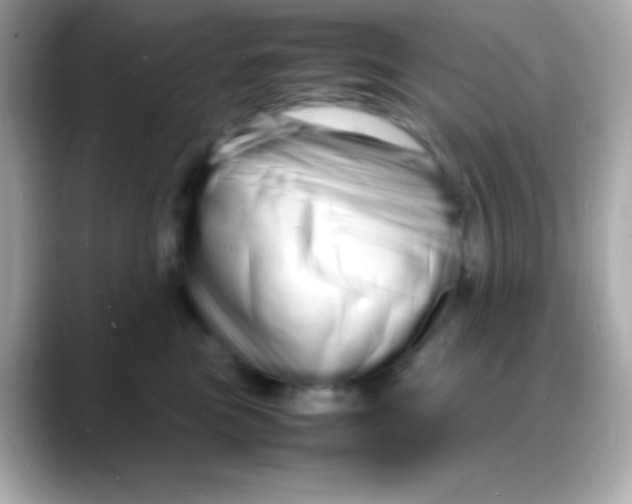 X0000088130473200706041952