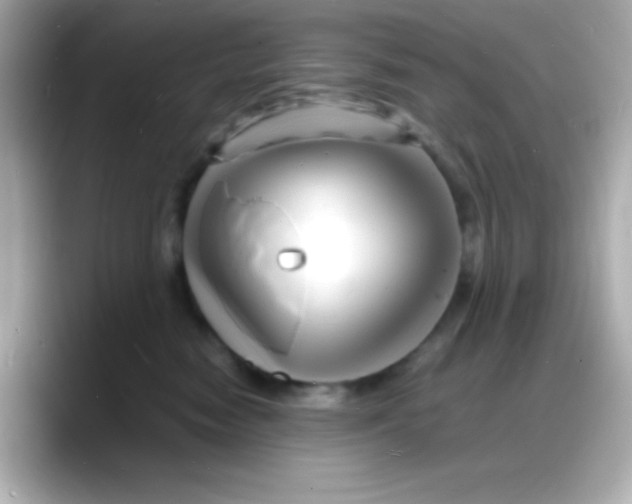 X0000088130474200706041952