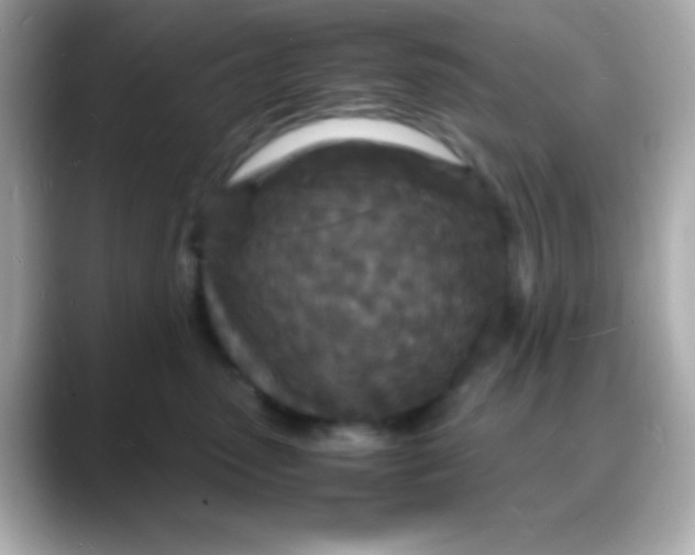 X0000088130475200706041952