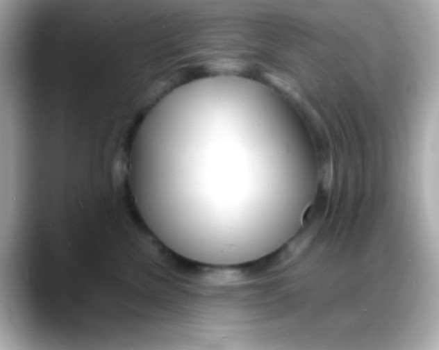 X0000088130476200706041952