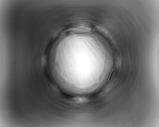 X0000088130477200706041952