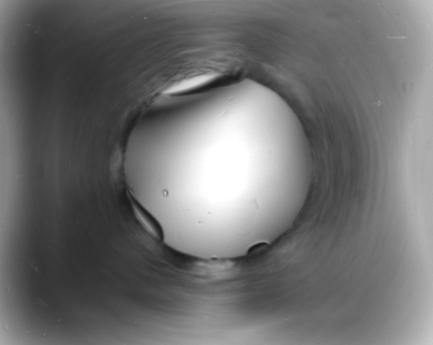 X0000088130480200706041952