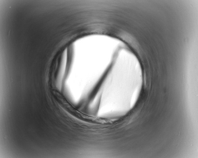 X0000088130483200706041952