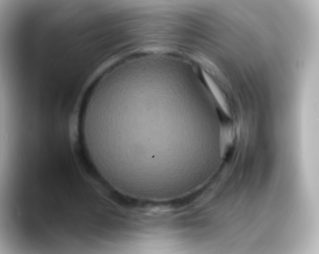 X0000088130484200706041952