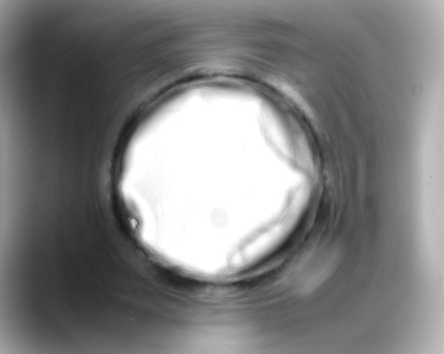 X0000088130487200706041952