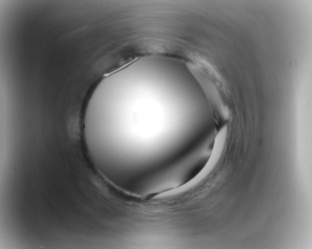 X0000088130489200706041951