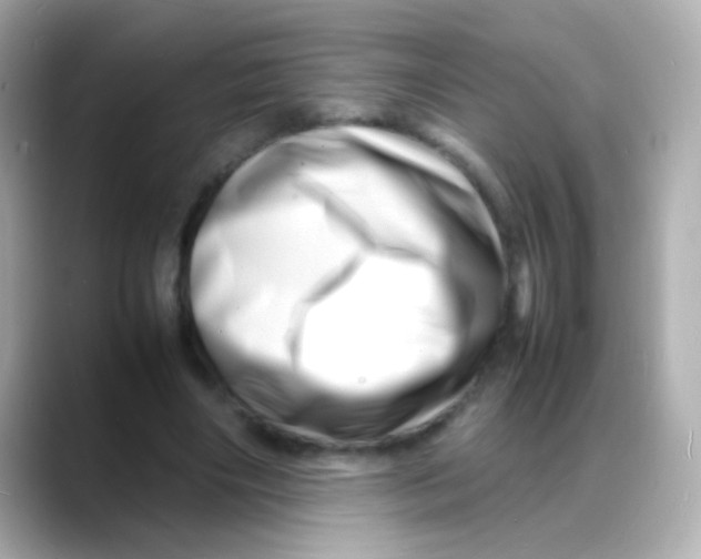 X0000088130490200706041951