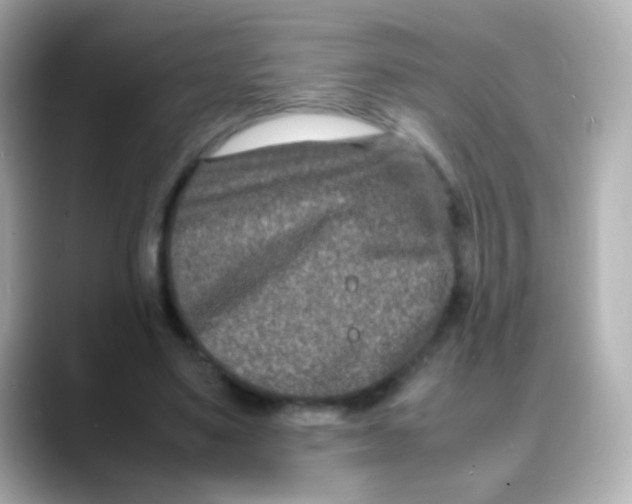 X0000088130491200706041951