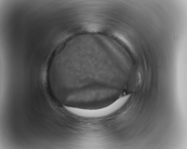 X0000088130492200706041951