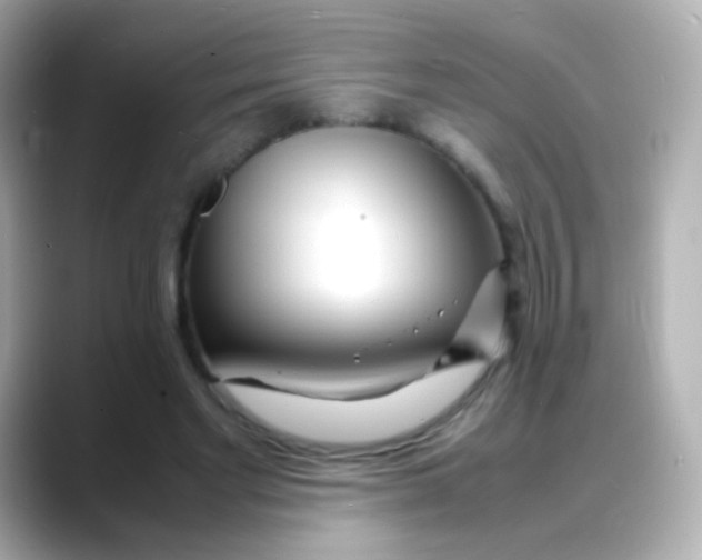 X0000088130493200706041951