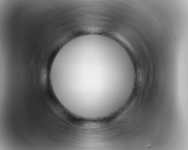 X0000088130494200706041951