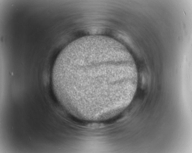 X0000088130499200706041951