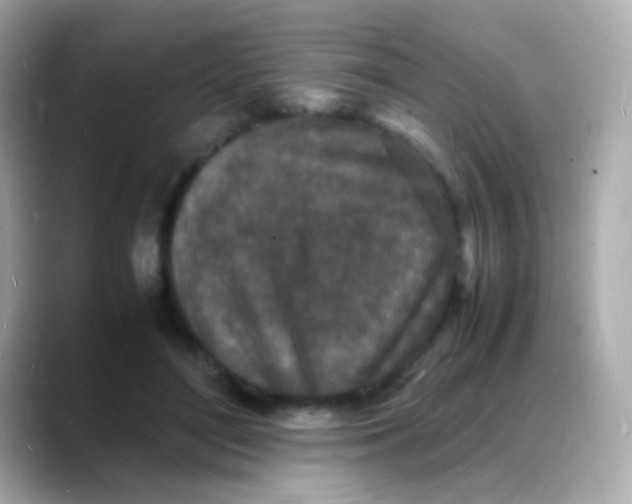 X0000088130500200706041951