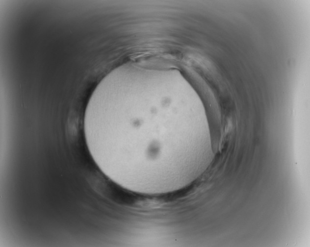 X0000088130503200706041951