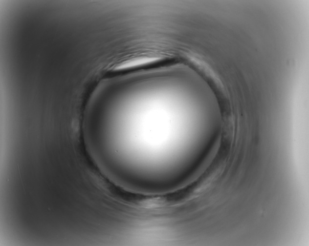 X0000088130505200706041951