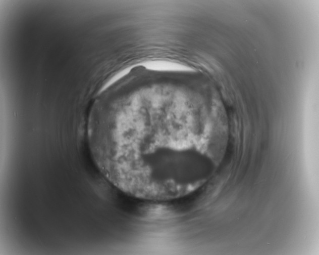 X0000088130507200706041951