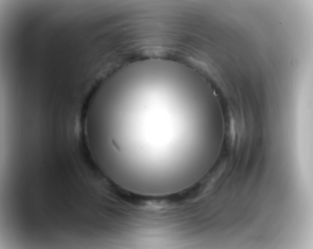 X0000088130508200706041951