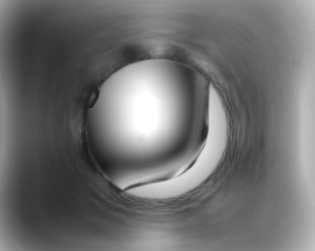 X0000088130509200706041951