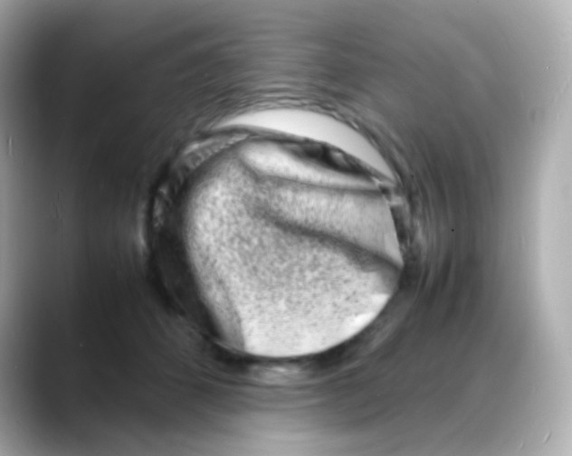 X0000088130512200706041951