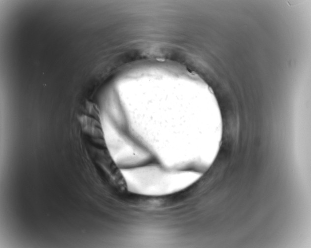 X0000088130513200706041951