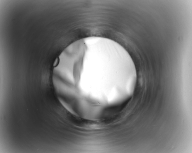 X0000088130514200706041951