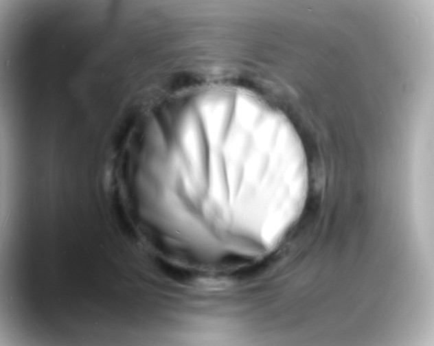 X0000088130515200706041951