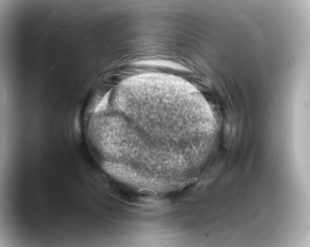 X0000088130516200706041951