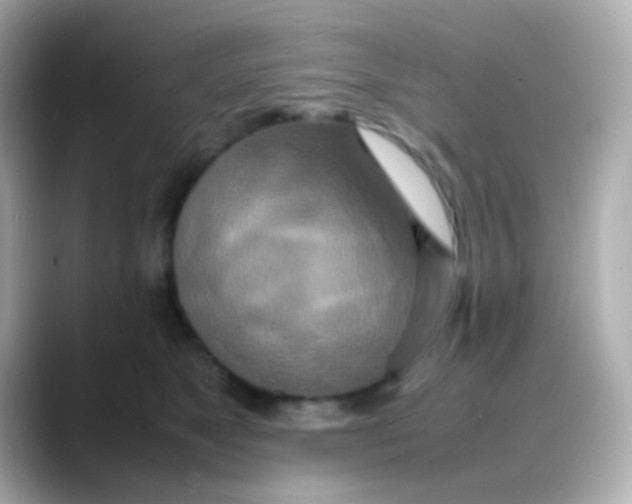 X0000088130517200706041951