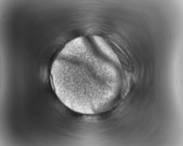 X0000088130520200706041951